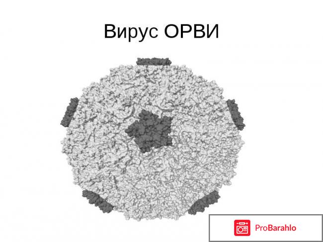 Агри детский отзывы реальные отзывы