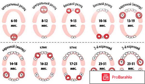 Симптомы прорезывания зубов 