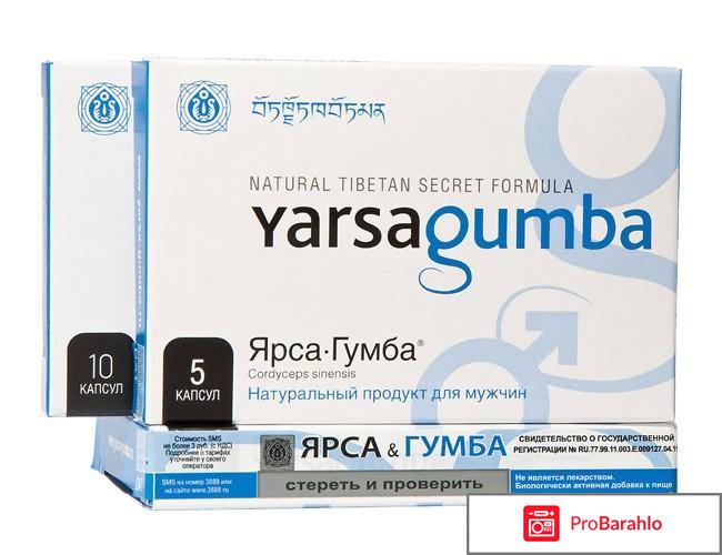 Ярсагумба сколько стоит 