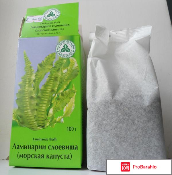 Сушеные водоросли ламинарию фото