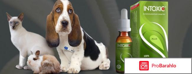 Интоксик средство от паразитов отзывы обман