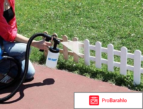 Пейнт зум обман