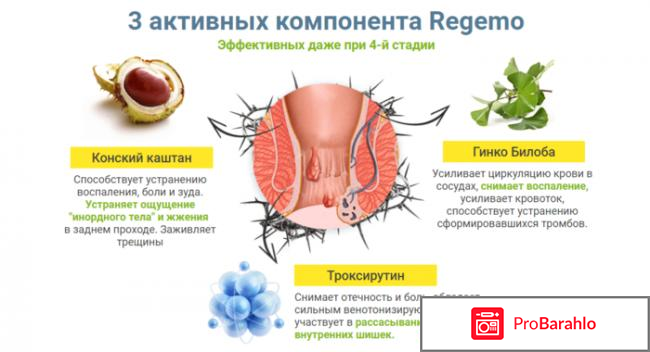 Regemo обман