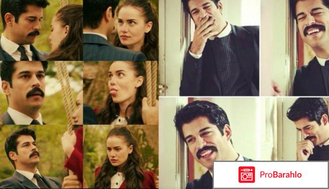 Королек - птичка певчая 