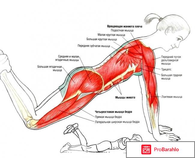 Упражнения для груди обман