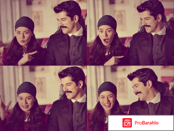 Королек - птичка певчая отрицательные отзывы