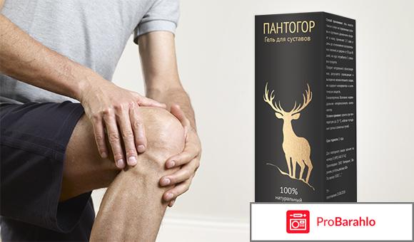 Пантогор купить отрицательные отзывы