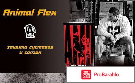 Энимал флекс отзывы врачей реальные отзывы