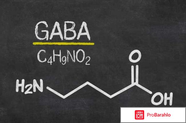 Аминокислота Габа: польза, инструкция, обзор препаратов 