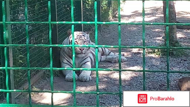 Фельдман ЭкоПарк фото