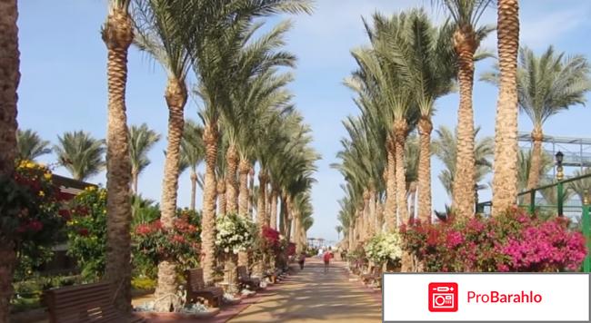 Фестиваль ривьера реальные отзывы