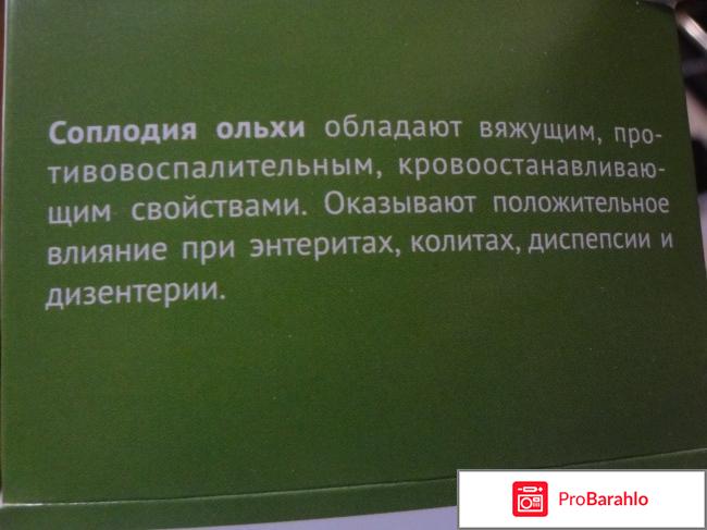 Ольха соплодия 