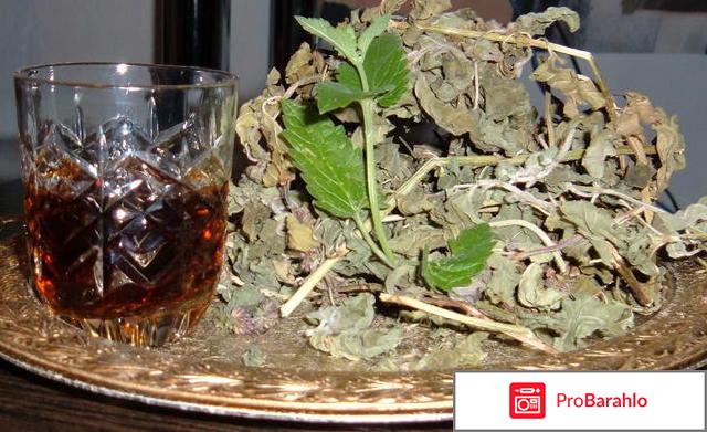 Лист черного ореха обман