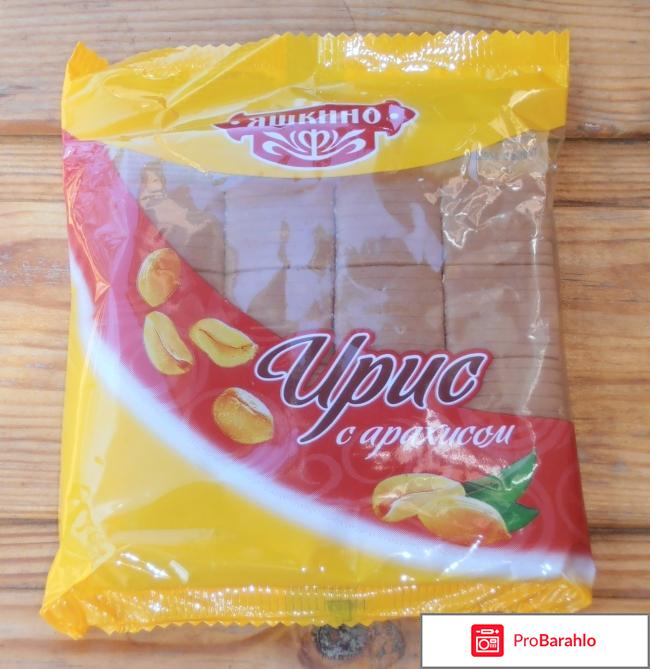 Ирис Яшкино 