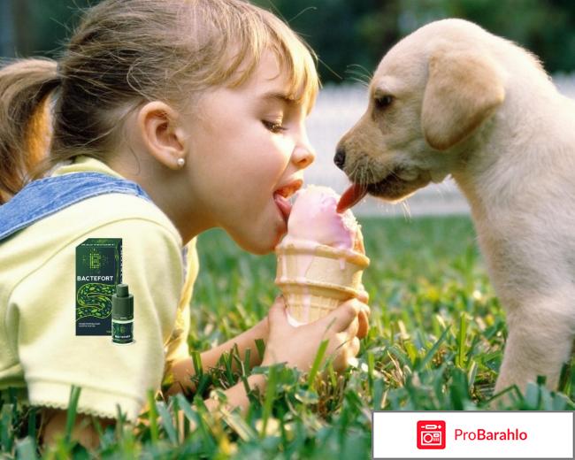 Препарат бактефорт обман