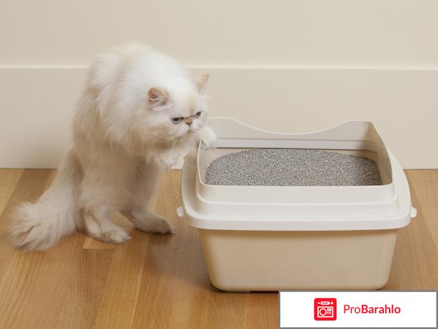 Запор у кота отрицательные отзывы