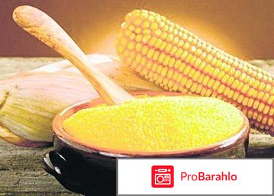 Диета на кукурузной каше отзывы отрицательные отзывы