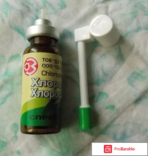 Хлорофиллипт масляный для горла отрицательные отзывы