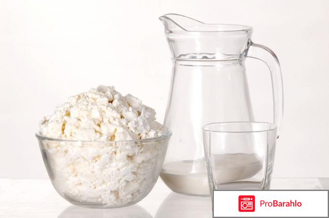 Молоко и творог после тренировки: как их употреблять обман