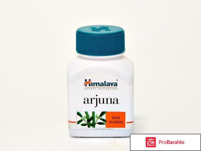 Арджуна 