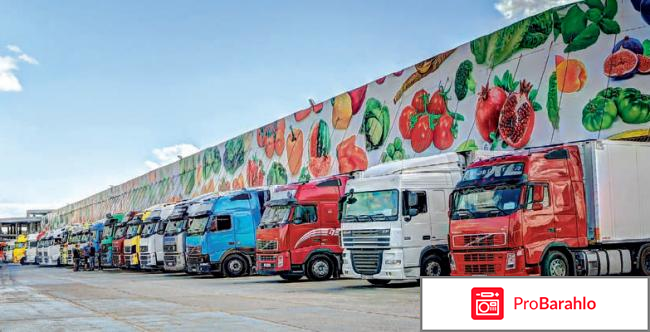 Фуд сити отзывы покупателей 2018 отрицательные отзывы