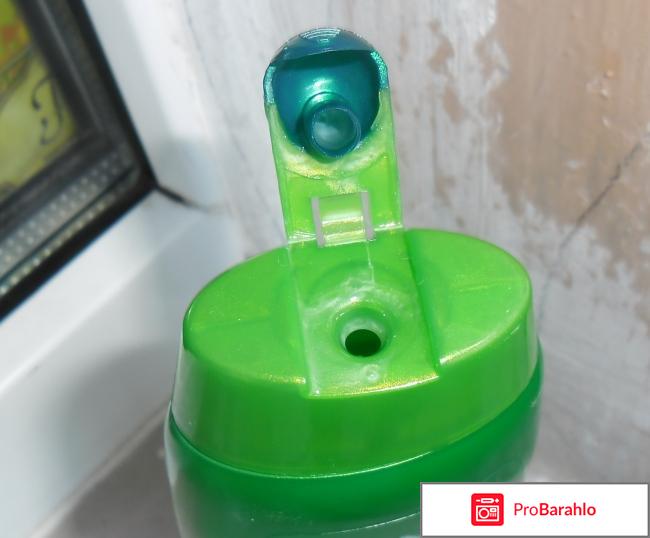 Шампунь для волос Garnier Fructis 