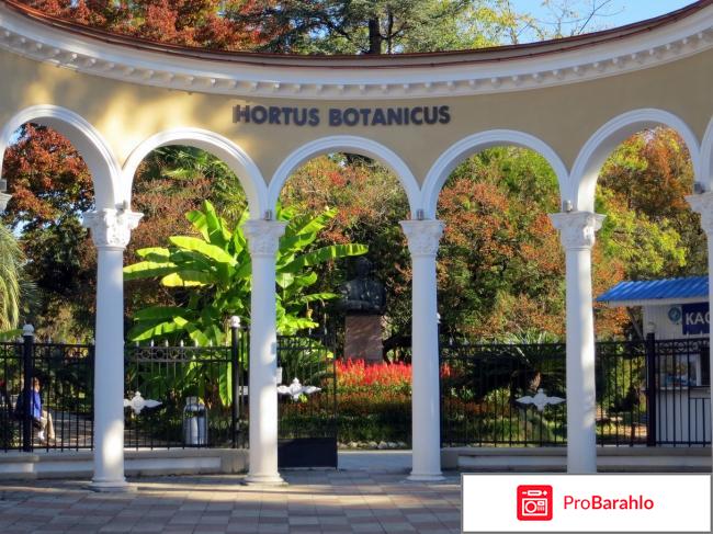 Сухуми отзывы владельцев