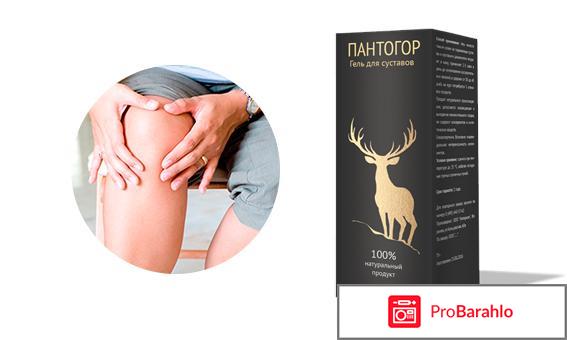 Пантогор для суставов 