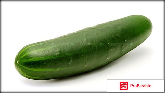 Как избежать пустоцвета на огурцах. обман