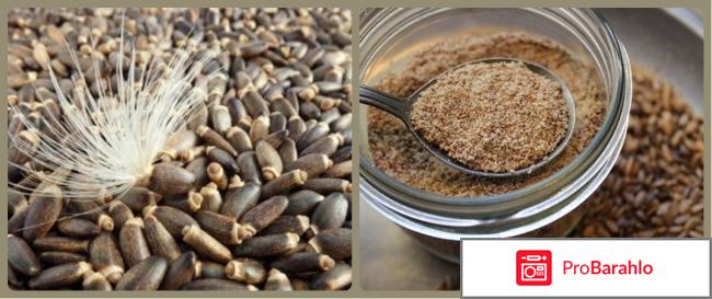 Расторопша лечебные свойства отрицательные отзывы