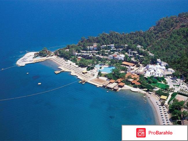 Фазелис клаб кемер отрицательные отзывы