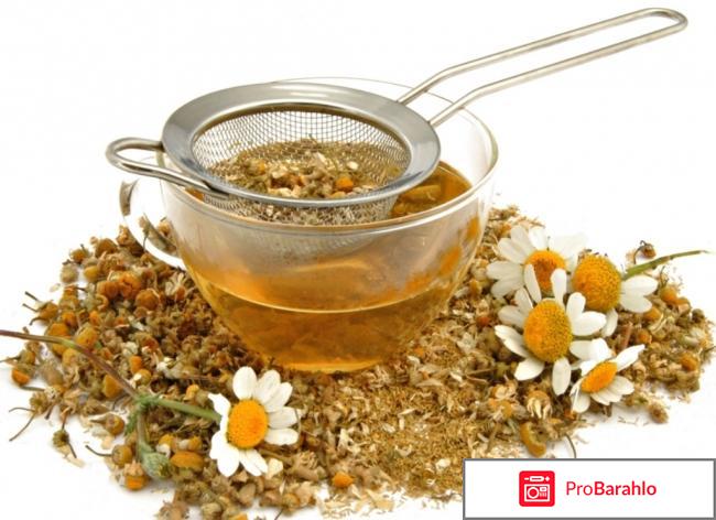 Осветление волос ромашкой отзывы фото