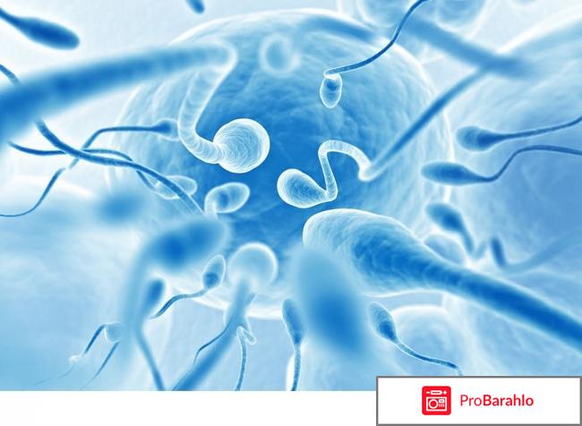 Сперотон цена 