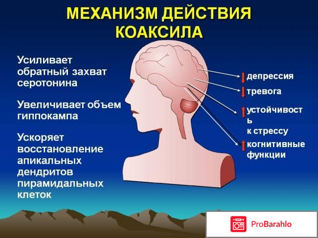 Коаксил отрицательные отзывы