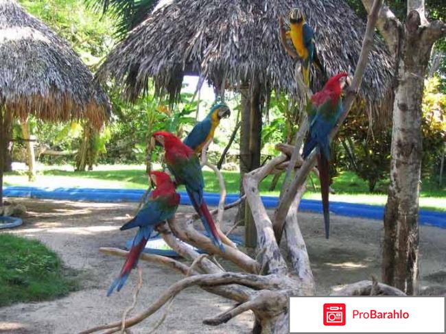 Отдых в Доминиканской республике фото