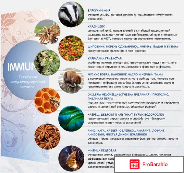 Капли Immunity для иммунитета: отзывы, цена Иммунити. отрицательные отзывы