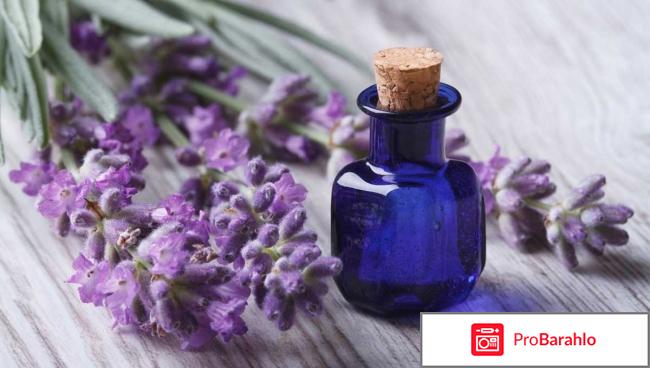 Эфирные масла против целлюлита: отзывы обман