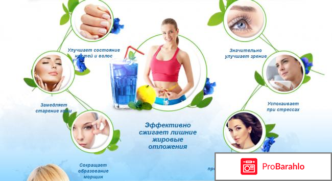 Пурпурный чай чанг шу отзывы реальные отрицательные отзывы