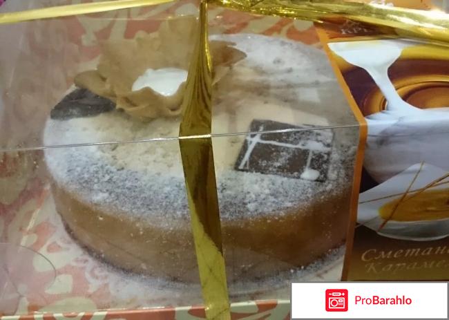 Торт малика реальные отзывы