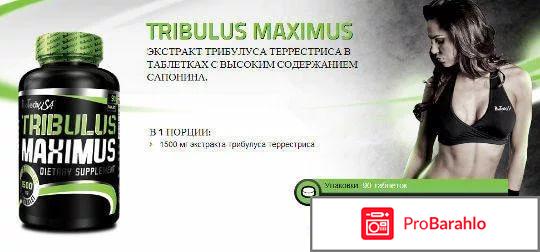 Трибулус для женщин отзывы 