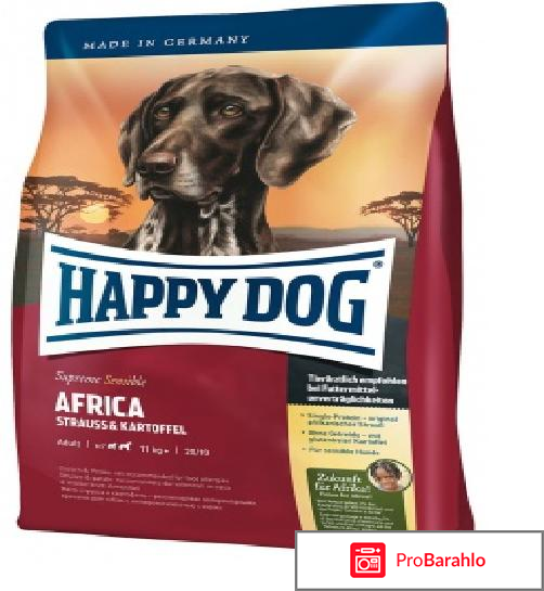 Happy dog africa отрицательные отзывы