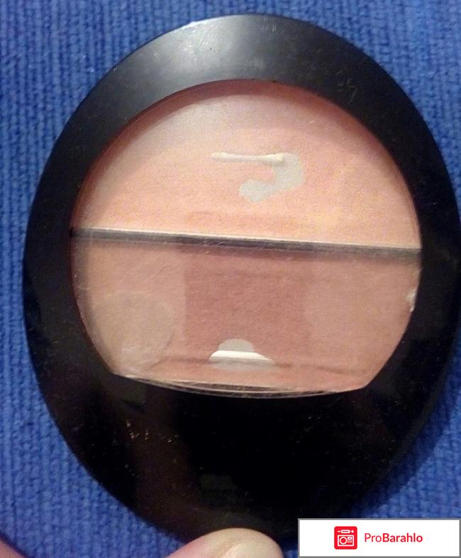 Двойные румяна Vivienne Sabo в оттенке №12 