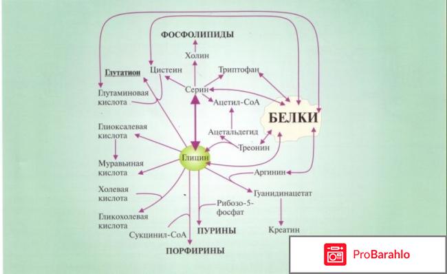 Глицин вред 