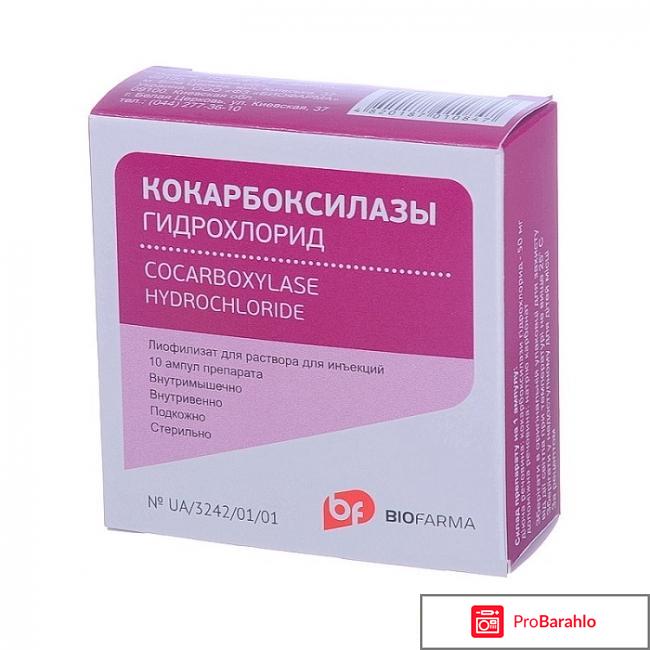 Атф и кокарбоксилаза лечат брадикардию реальные отзывы