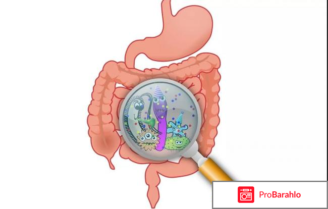 Дисбактериоз после антибиотиков обман