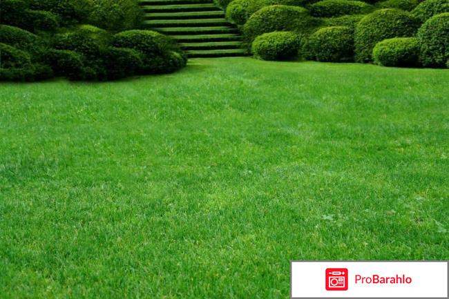 Газон и уход за ним отрицательные отзывы