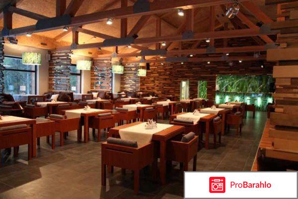 Романов лес 