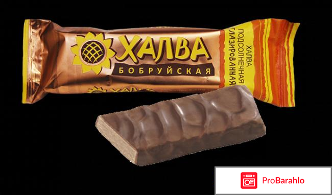 Красный пищевик фото