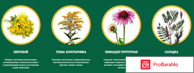 Простанорм реальные отзывы