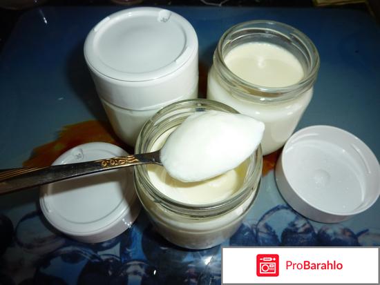 Нарине закваска отрицательные отзывы отрицательные отзывы